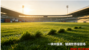 一块中国草，如何铺满世界杯的绿茵场